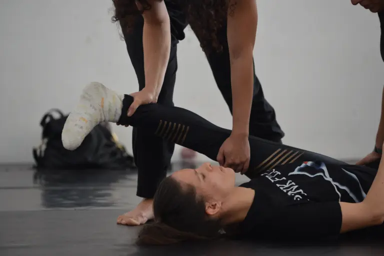 Inspiral circus Mesterkurzus_Laza workshop 2017