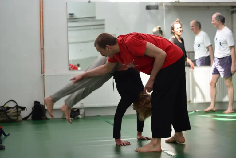 Inspiral circus Mesterkurzus_Raphael Billet workshop 2018